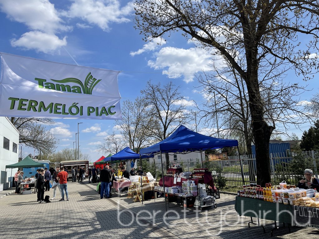 Tama termelői piac 59